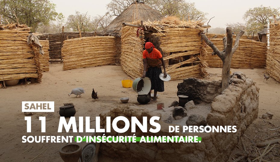 ACF_France's tweet photo. Au #Sahel, à cause de l’augmentation de l’insécurité et de la multiplication des aléas climatiques, les besoins humanitaires ne cessent d’augmenter. https://t.co/HseqXtYHGs