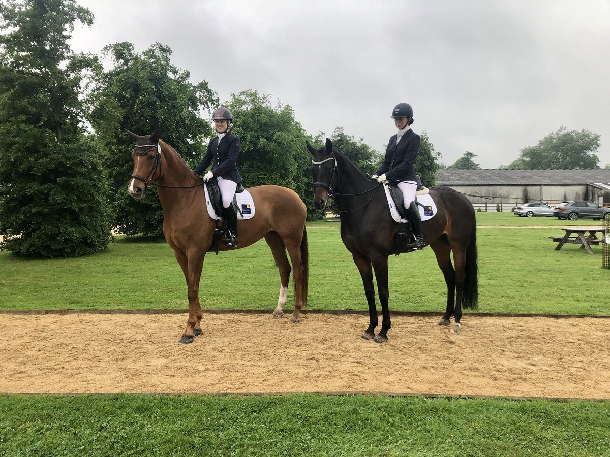 Great first outing with Hawtins Bellegra 70 and 71% in her mediums today ✨💖