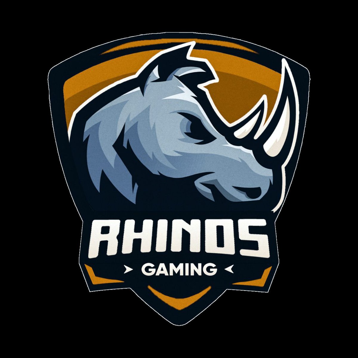MasterLeague_CR's tweet photo. Presentamos al 13 equipo inscrito en la MRL....
Ellos son @Rhinos_GG y vienen a llevarse la liga....
Bienvenidos!!!! https://t.co/2iSMNzysND
