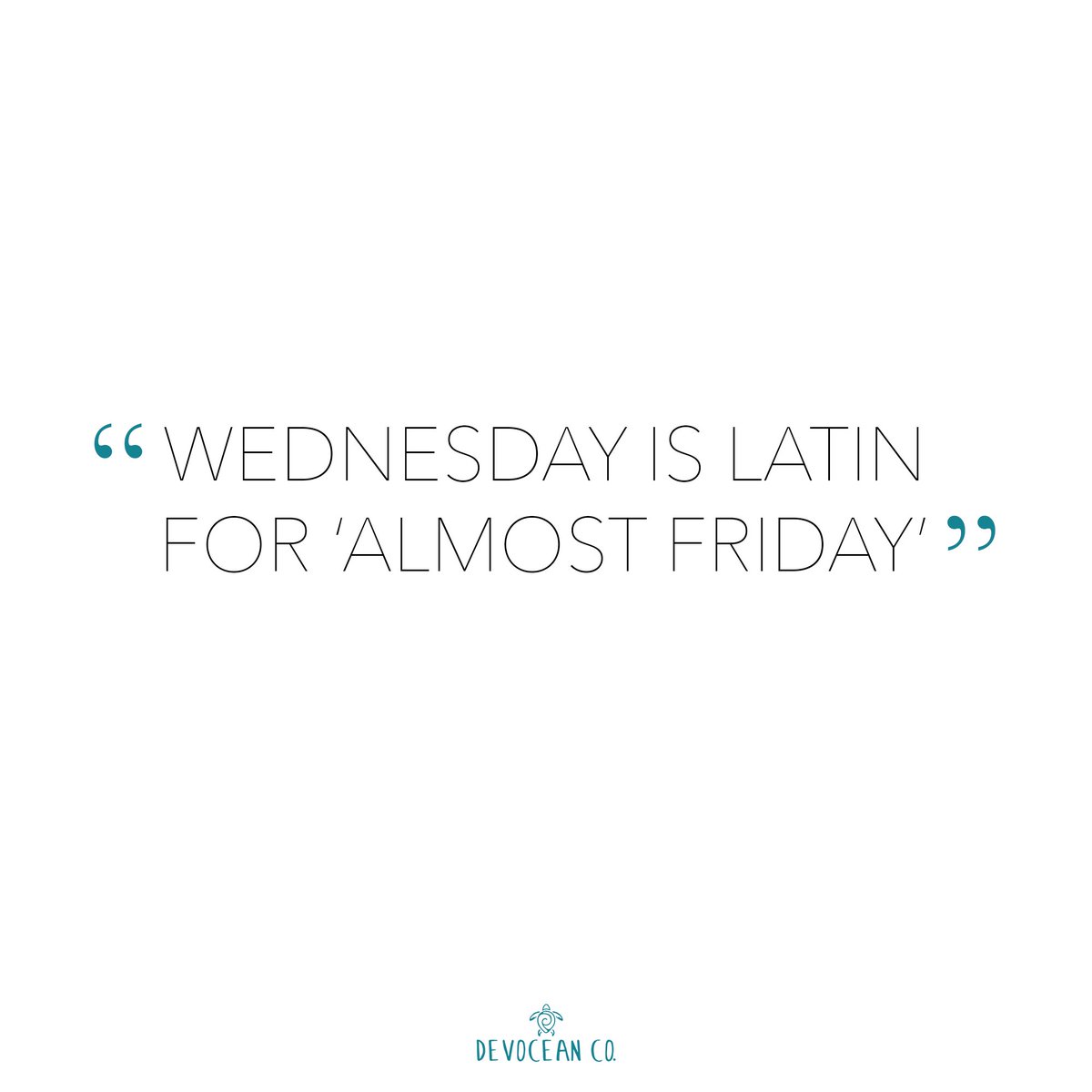ShopDevocean's tweet photo. Guess what day it is? 🐪
#devoceanco #staydevoted #savetheseaturtles https://t.co/1ZPhFfyNS0