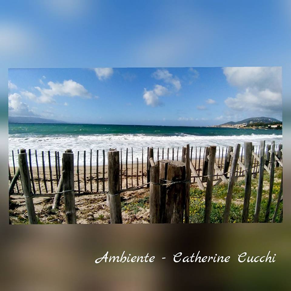 Ambiente_anim's tweet photo. #Émerveiller pour #mieux #protéger

"Au #détour d'une #balade, #partez à la #découverte du #patrimoine #naturel et #culturel #insulaire".

Infos et réservations au : 06 46 58 50 93

 #animation  #voyage #travel #BattlePhoto #corsica #visitcorsica  #paradisula #ajaccio #ricanto https://t.co/gBilesvq9n