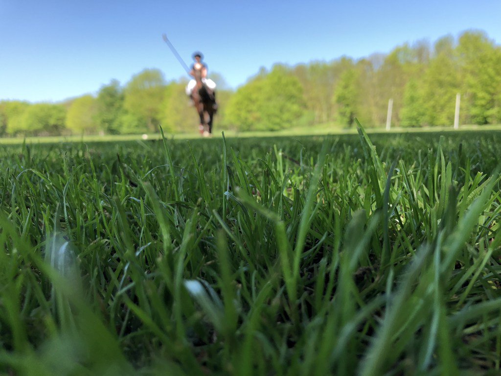 Introducing our brand new guest blogger...The Secret Polo Player thefirstchukka.com/2018/05/30/int…