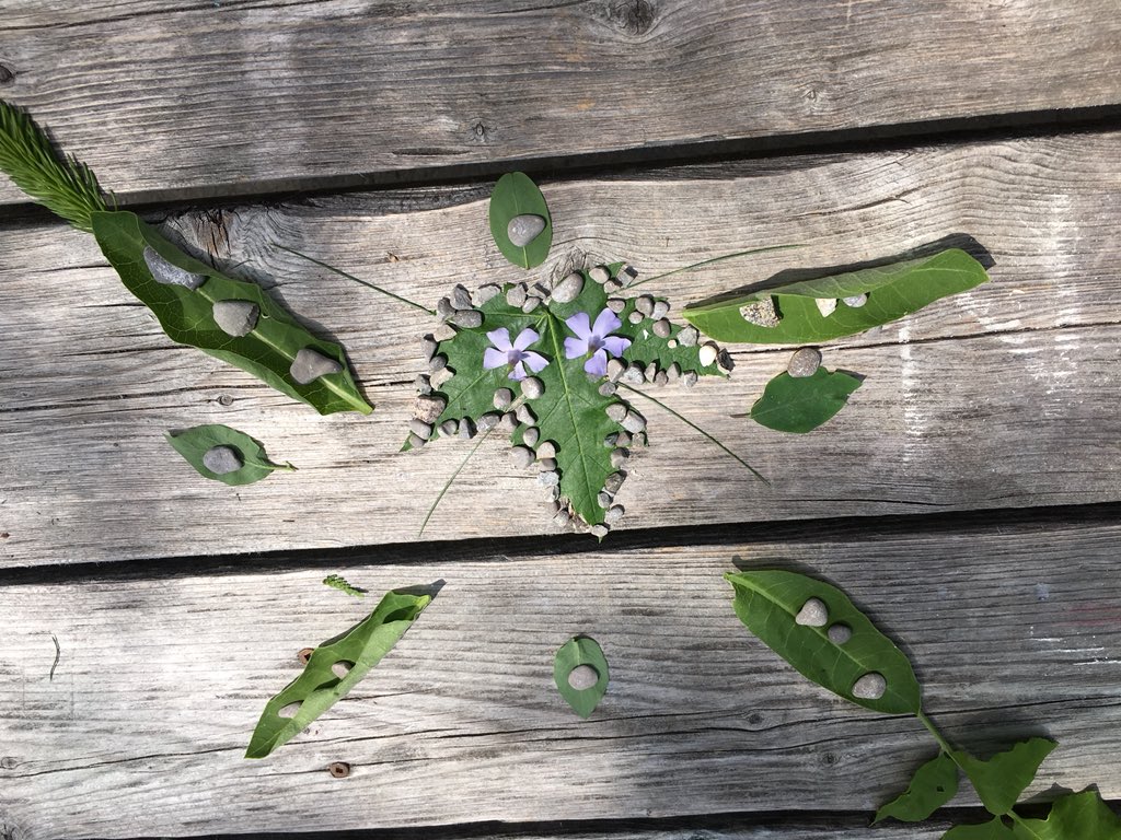 parkerspress's tweet photo. Nature inspired art! “This was awesome art, can we do this at home too?” @AngusMorrisonES https://t.co/1C2dTCR6Fw