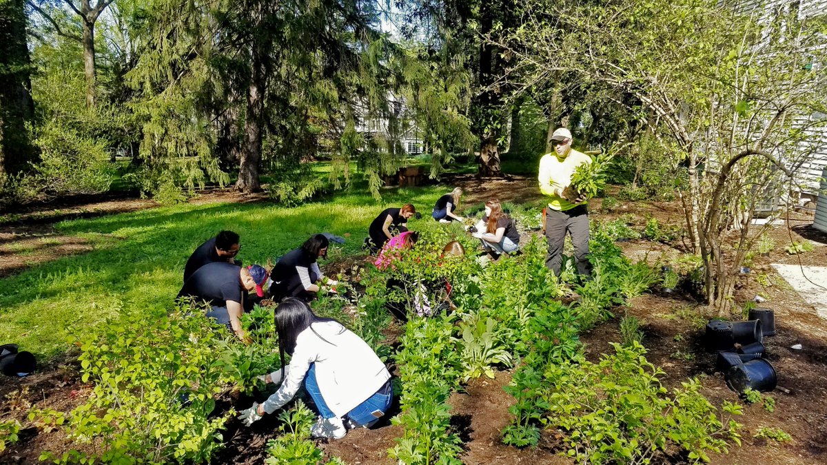 IntusWindows's tweet photo. 1 month ago we were planting 🌼#perennials with the @FallsChurchGov to celebrate #EarthMonth2018. Check out the album at https://t.co/UyYLgP9pOY. Bye-bye bare plots & pathways!
#Reflection #GoGreen #WorkHardPlayHard #GiveBack #DoGood #CommunityService #INTUSwindows #FallsChurch https://t.co/cEbFqybhJQ