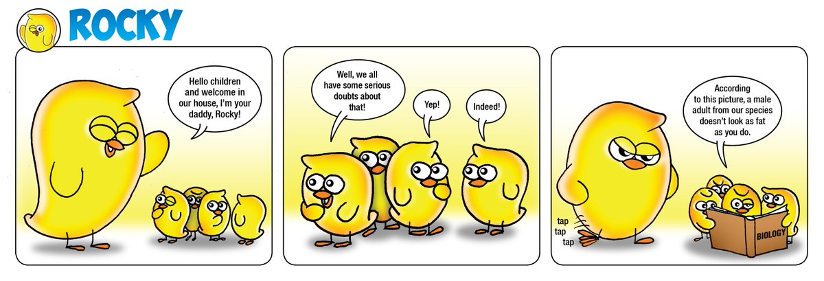 Rocky (@rockyyellowbird) on Twitter photo 