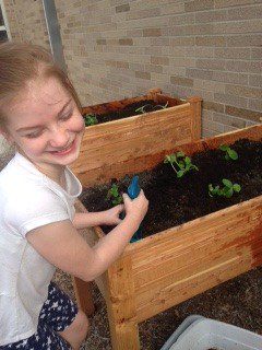 asheetsroom14's tweet photo. Planting our garden! Big thanks to BHE PTO, @Mr_Herrold and @OCIbluffton ! #BHES180daysoflearning https://t.co/UyG2948z1x