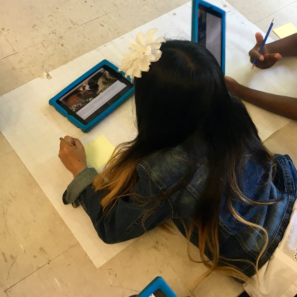 msbrycesclass's tweet image. 3/4s creating @RotmanIThink #CausalModels to better understand threats to plant and animal habitats 🌿🐼 #environmentaleducation