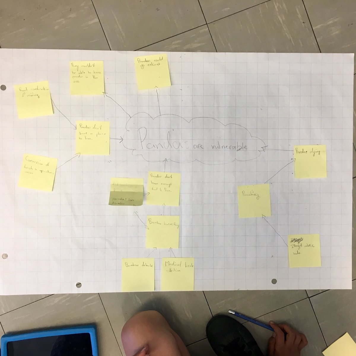 msbrycesclass's tweet image. 3/4s creating @RotmanIThink #CausalModels to better understand threats to plant and animal habitats 🌿🐼 #environmentaleducation