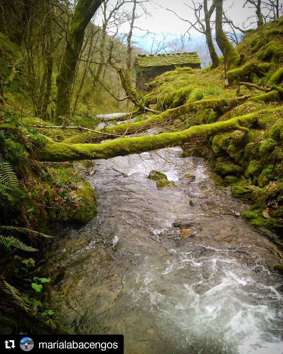 Paisaxes de A Pontenova 😍💙
📷 Muiño na Ruta da Seimeira   
#amariñalucense #galiciaslow 🐌🐌🐌 #galicianorte #Galicia
