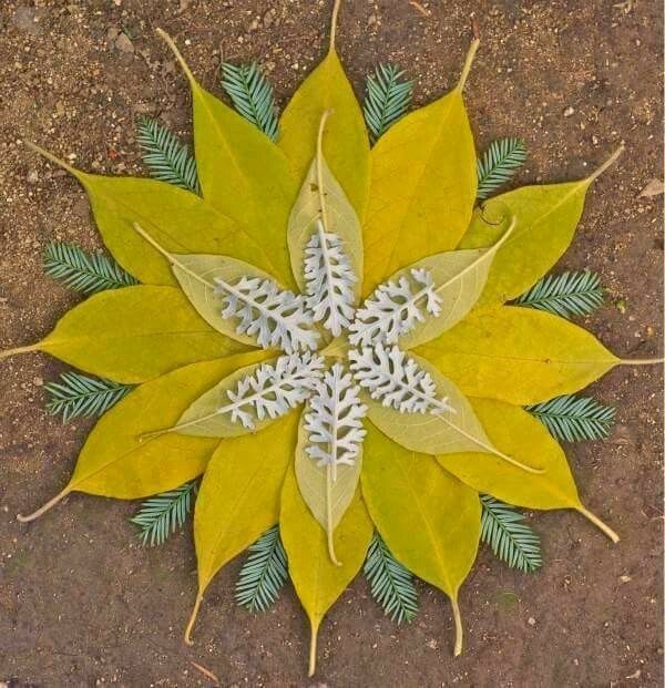 CelticFaerySeer's tweet photo. π»π»π»πΏπΏπΏ @celticfaeryseer π±π· Pinterest #naturemandala #mandala #naturegrid #celticfaeryseer #faeryseer #seer #flowermandala #flowergrid #flowers https://t.co/k2Dax616V0