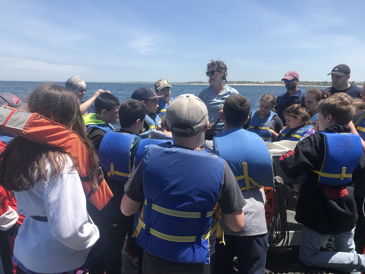 Lboroschool's tweet photo. Checking out sea life out on The Albatross. https://t.co/C5cUZPf70S