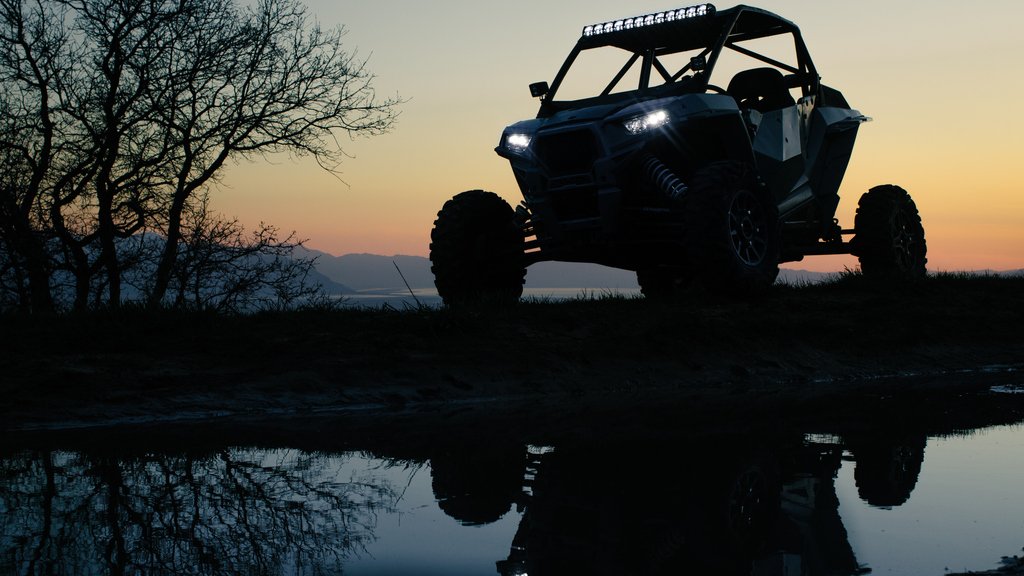 RigidNation's tweet photo. We stay up playing late so you can too.
#ownthenight πΊπΈ
#rigidnation π
#whyrigid π
#rigidpro π― https://t.co/DiHnvKPeej