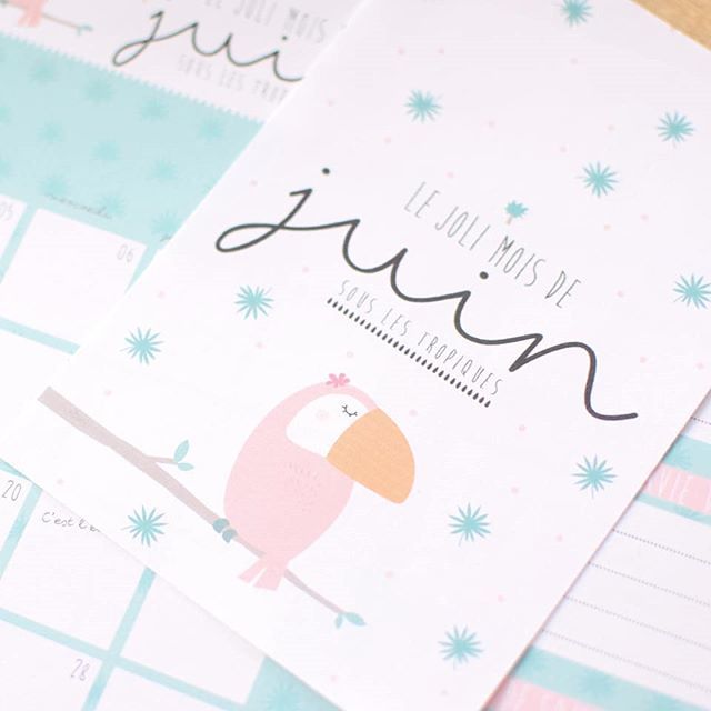Lavieenplusjoli's tweet photo. Youpiiie ! Notre calendrier du mois de juin est en ligne ! Ambiance tropicale au programme ! Bisous 😘
#calendrier #juin #toucan #tropical #hellojuin #june #planner #organizer #organisation #bujo #printable #illustration #cartepostale #postcards #lavi… https://t.co/dPJ7sISrUS https://t.co/utRdE4XifI