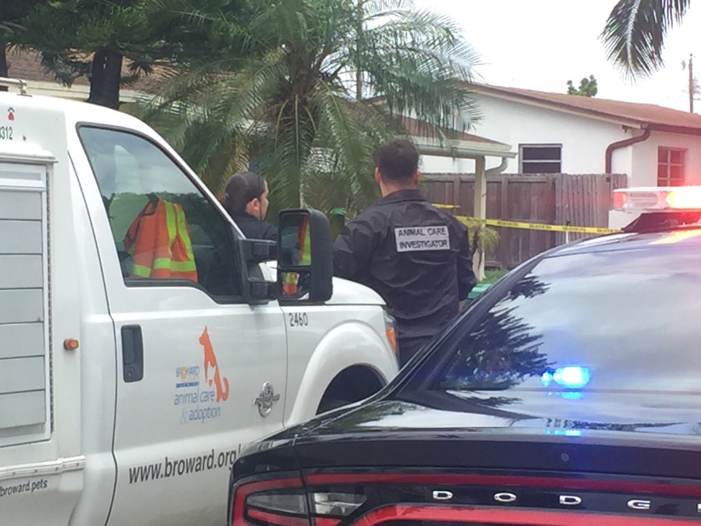 #UPDATE Child attacked by family dog in Miramar has died bit.ly/2LGo4F7?utm_so… https://t.co/HoA6TpSgYq