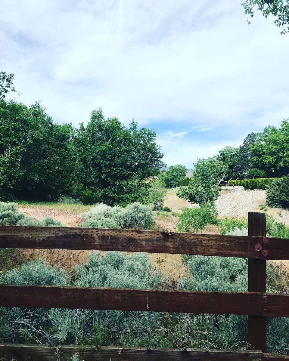 KevinBrunson's tweet photo. #RunStreak day 3890, #WednesdayEasyRun 10.01 miles.๐๐ป#RunEveryDay #BQ02242018 #Boston2019 #MarathonTraining #RunningForMentalHealth #RenoNevada
#RunningForFun #EclipseRunning
#RoadRunning #LoveToRun #BartleyRanch #LakeridgeGolf #Plumas #PheasantLane https://t.co/wPswHf8vOb