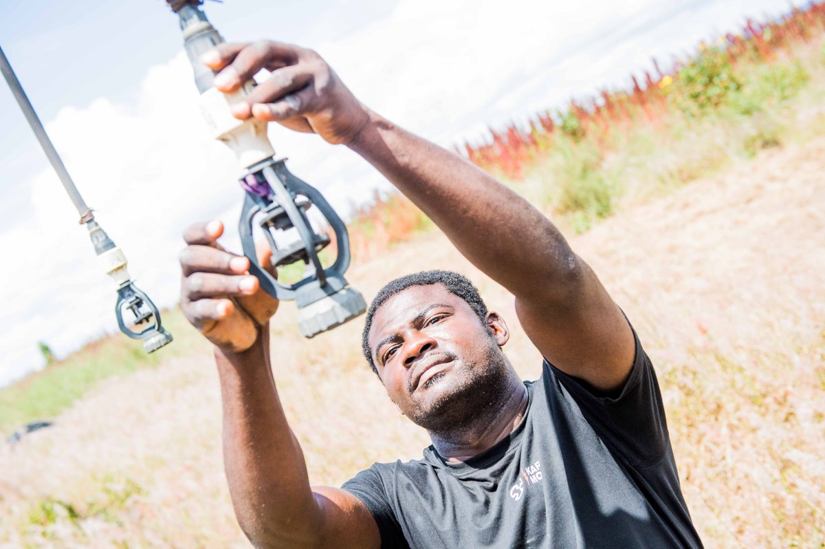 Na Fazangola, estamos todos comprometidos com o fortalecimento do sector agrário em Angola. Ao longo dos próximos cinco anos, cerca de 12 milhões de USD seram investidos em Camacupa para a produção de 40,000 toneladas de milho e 2,000 toneladas de soja numa área de 6000 hectares