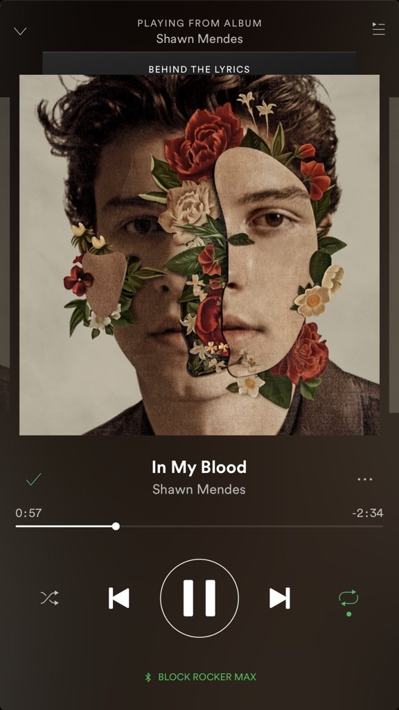 lostsmupdates's tweet photo. @umusic @ShawnMendes @goodtimemendes @voiceroses @mendesnsleath #ShawnMendesTheAlbum https://t.co/fGbBfFz4y8