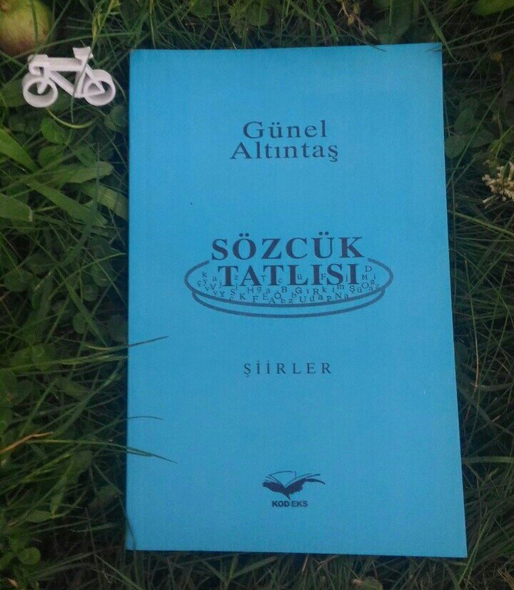 "ŞEHİT ÇOCUĞUNUN ŞİİRİ

Az buçuk Tanrı'ydı herhalde babam
yarattığına göre beni
kanıyla yoğurdu topraktan!"
 #sözcüktatlısı
#günelaltıntaş 

Satışta!