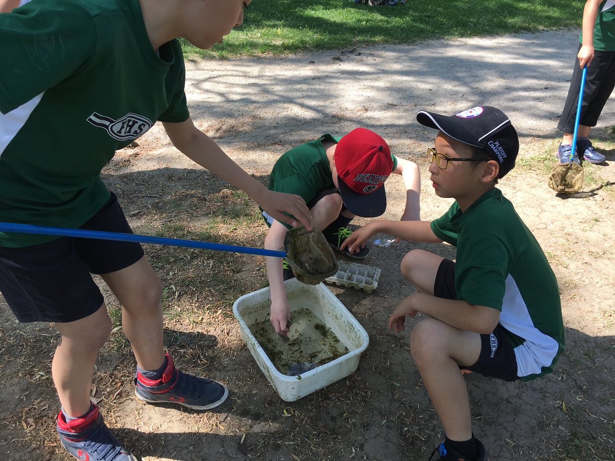 fernhilloak's tweet photo. Wetlands study with Grade Threes https://t.co/EQpsaZr8bg