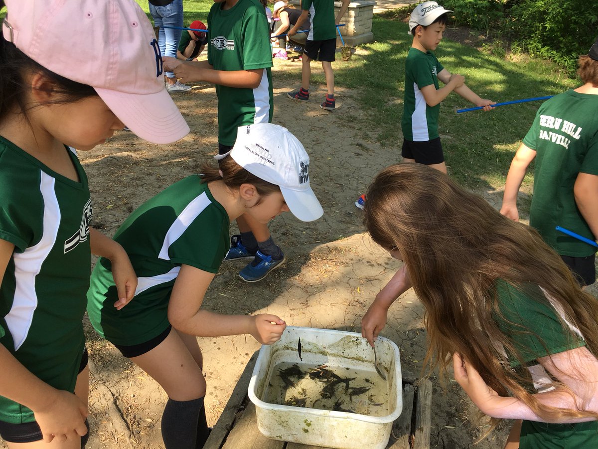 fernhilloak's tweet photo. Wetlands study with Grade Threes https://t.co/EQpsaZr8bg