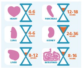 When it comes to organ recovery and transplant, every minute counts to ensure lives are saved. Learn more and register to #donatelife at donatelifevt.org! <a href="/organdonorgov/">organdonorgov</a> #giftoflife #givehope #checkyes #passlifeon #leavealegacy