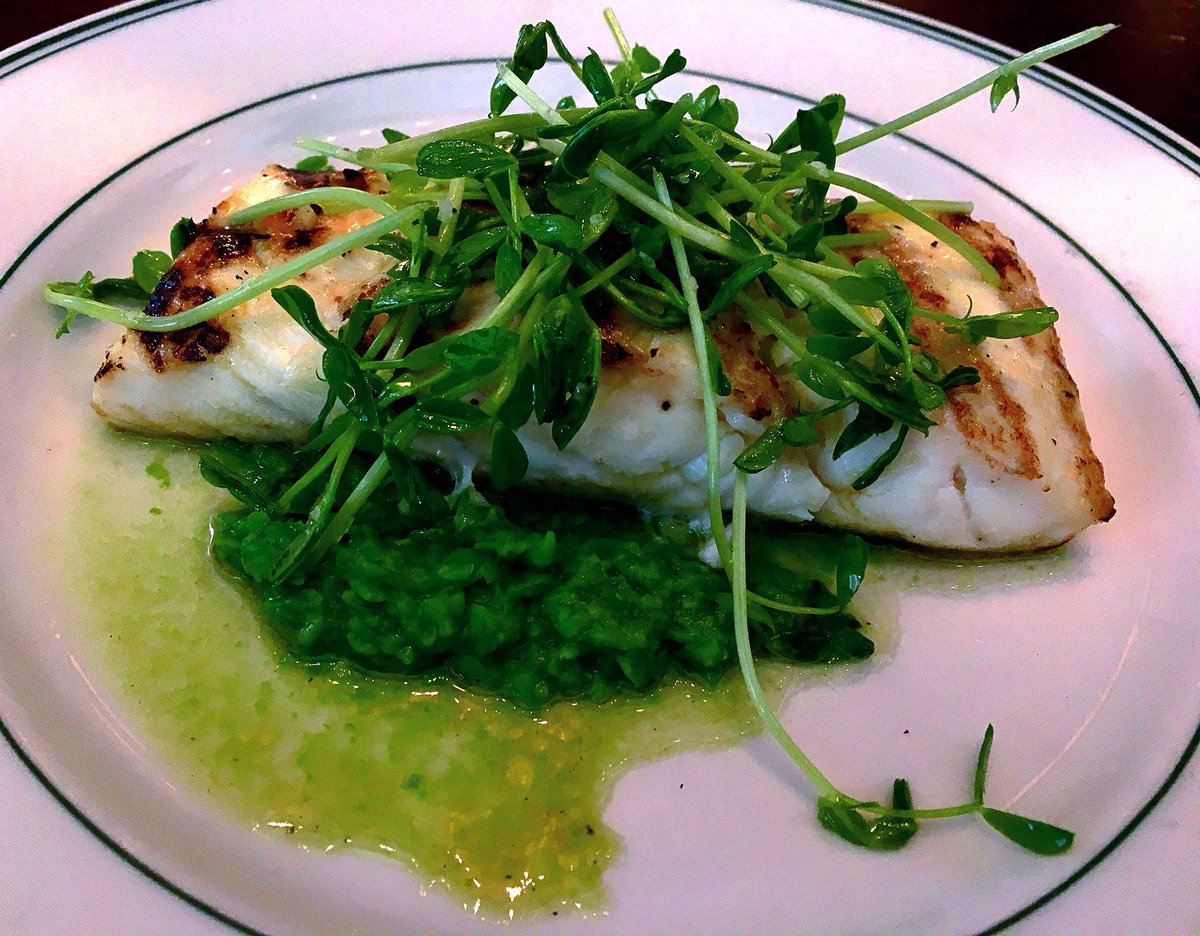 chrisdeep's tweet photo. > #rlopez #rioja, #oysters, girthy #halibut filet, #mint #greenpea purée, #fresh #peashoots. yum! 😳 #culinary #seafood #fish #foodphotography #foodporn #food #foodie #gastronomy #gastropost #gastroart @joesstonecrab https://t.co/ZxC0ZZYdcp