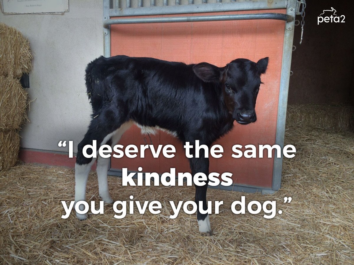 RT if you agree 🙏💕