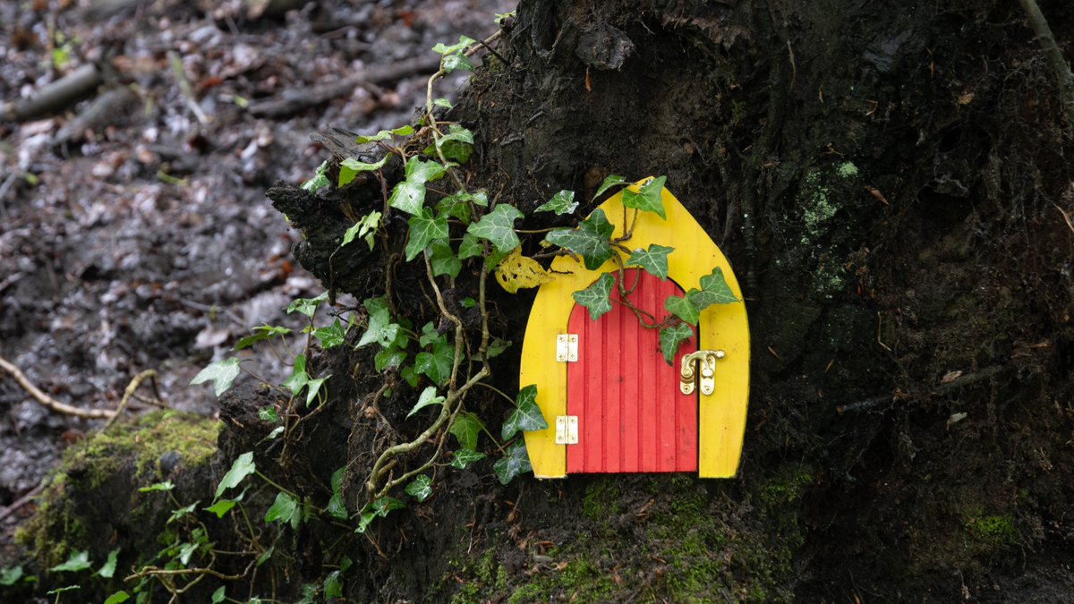 Today's Reserve of the Day: C S Lewis Nature Reserve - green and lush after all the recent rain - and now with added Fairy Doors. bbowt.org.uk/reserves/cs-le… @bbowt @LittleOxplorers