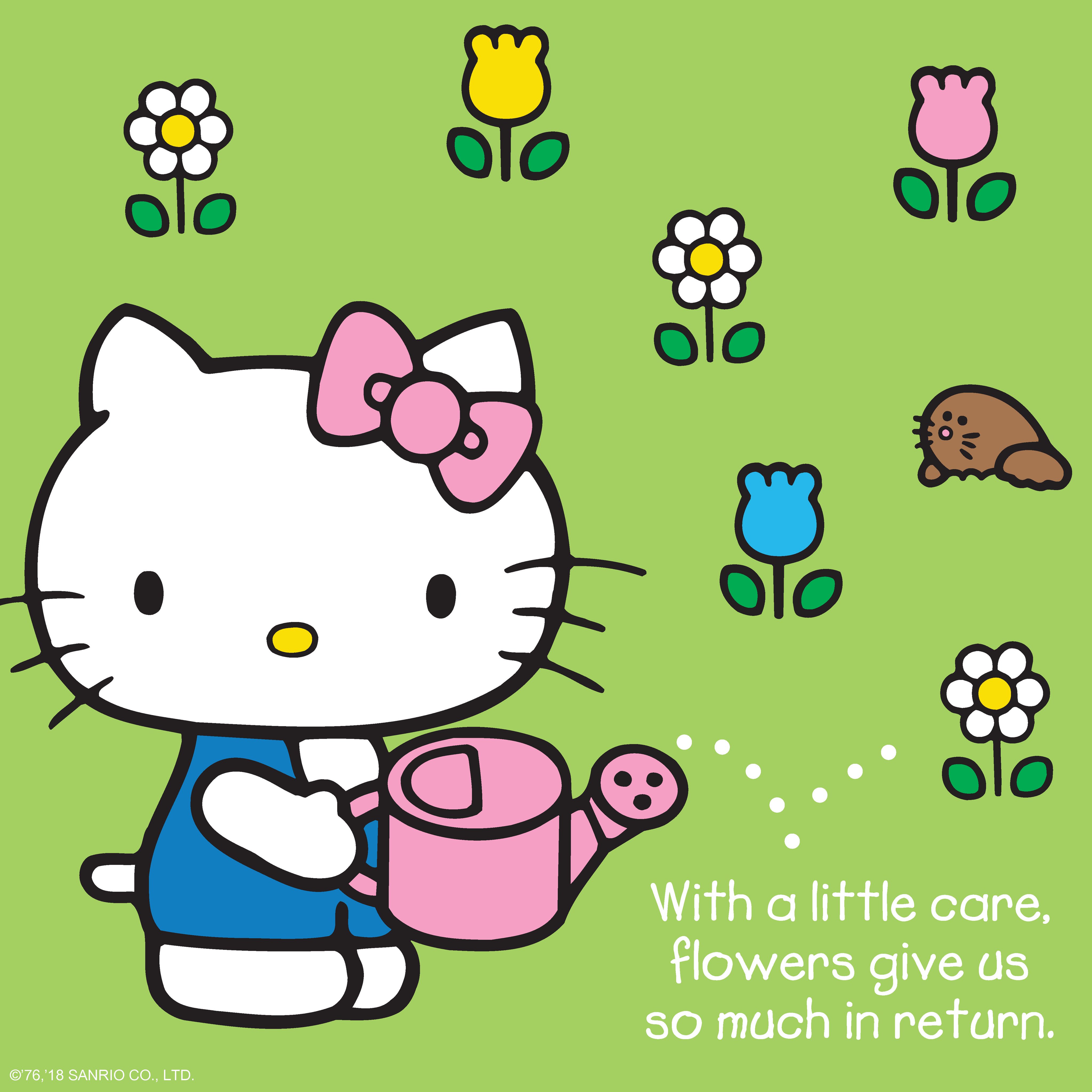 hello kitty
