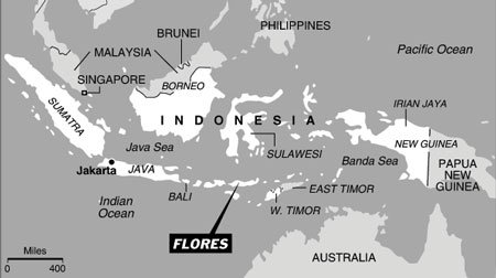 1 million year old stone tools are found on the island of Flores, but how did (likely Homo erectus) get them onto the island? The nearest Island is 9 km (6 mi) away! Thats about a swimming marathon, perhaps they had boats? #Mysteries of #human #evolution. Fact from <a href="/HumanOrigins/">Human Origins at SI</a>