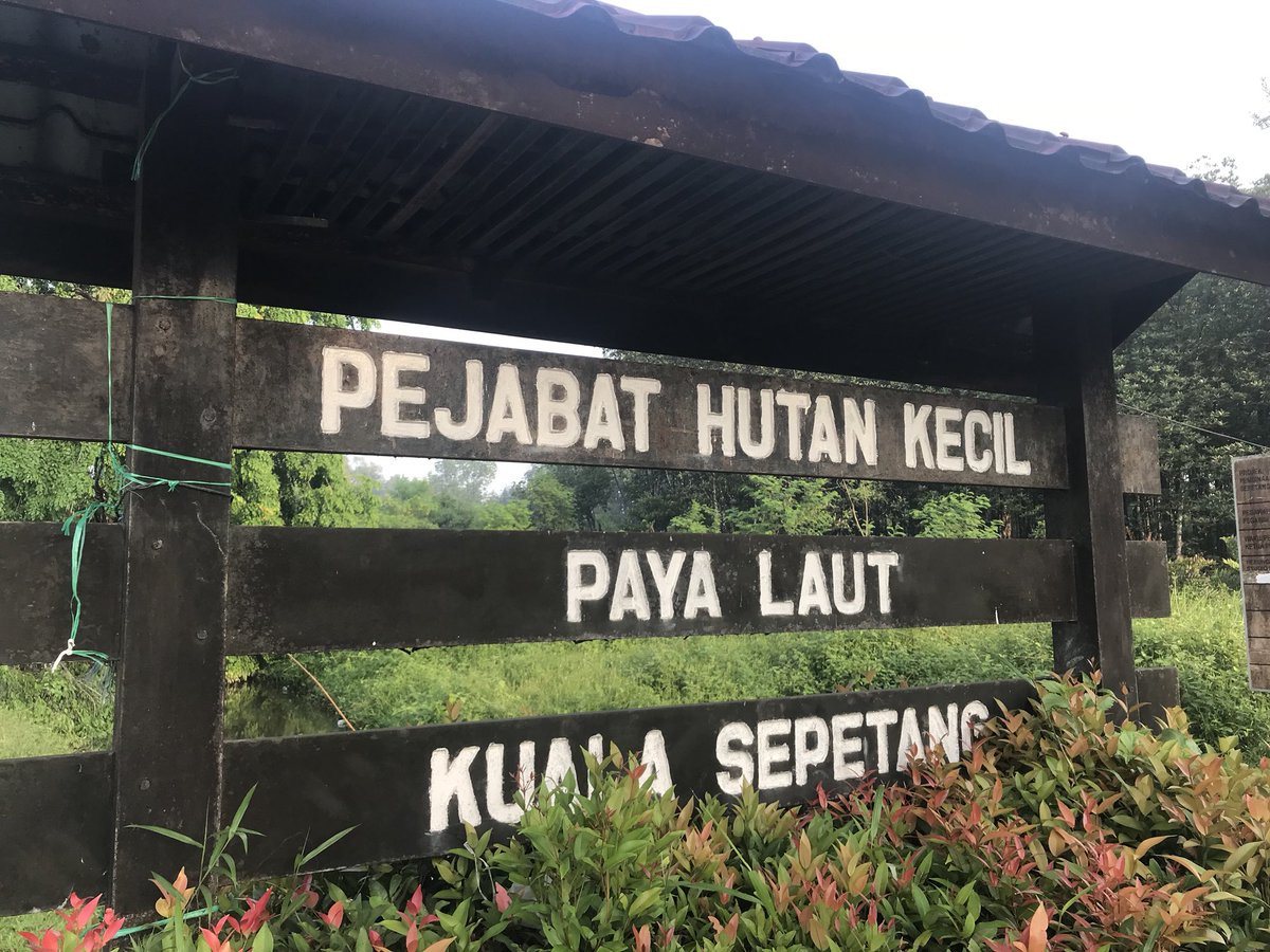 magic2k18's tweet photo. #throwback to our first project in Kuala Sepetang, Taiping 🤗

#hutanpayabakau #kualasepetang #magic2k18 https://t.co/vV8EcbbQUS
