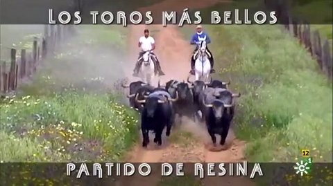 pablolr89 tweet media
