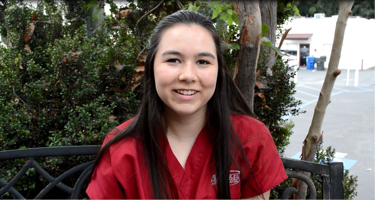 PartnersinEducation tweet media