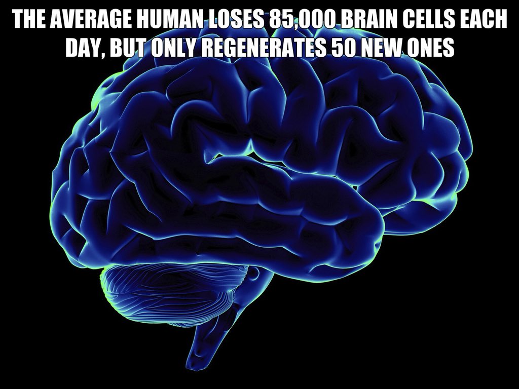 hawk_science's tweet photo. https://t.co/tuU152DtxX