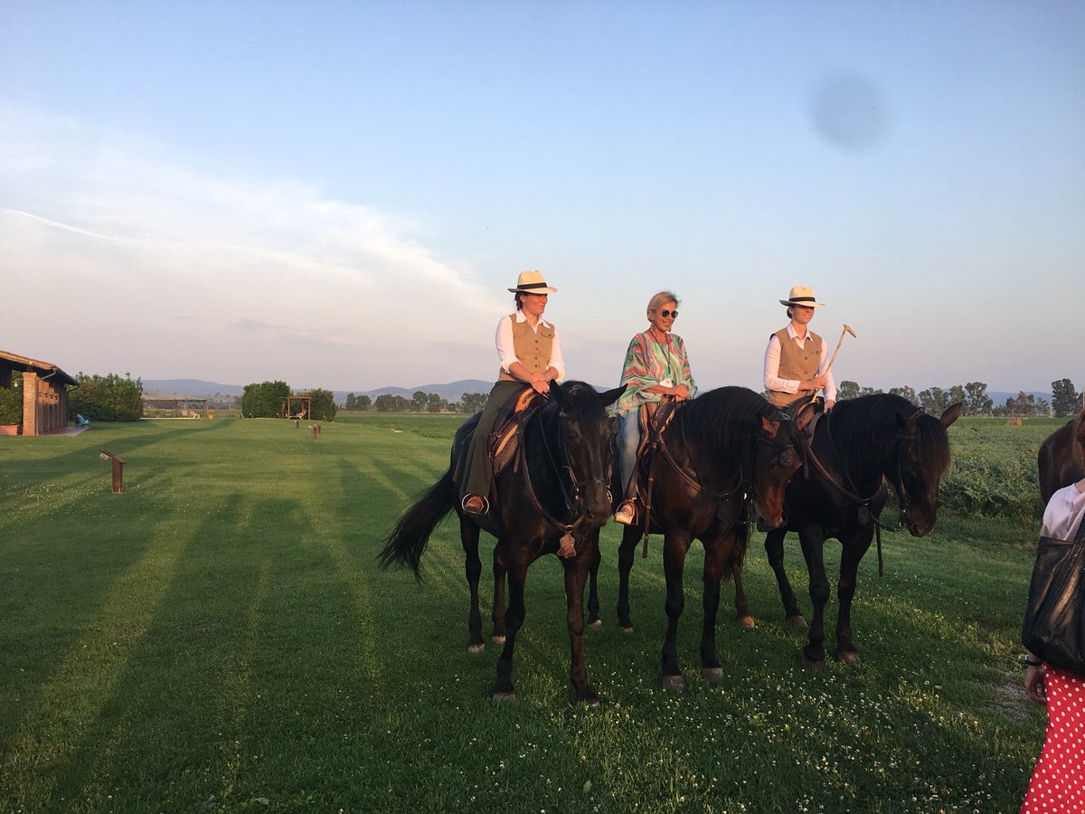 AVIConference tweet media