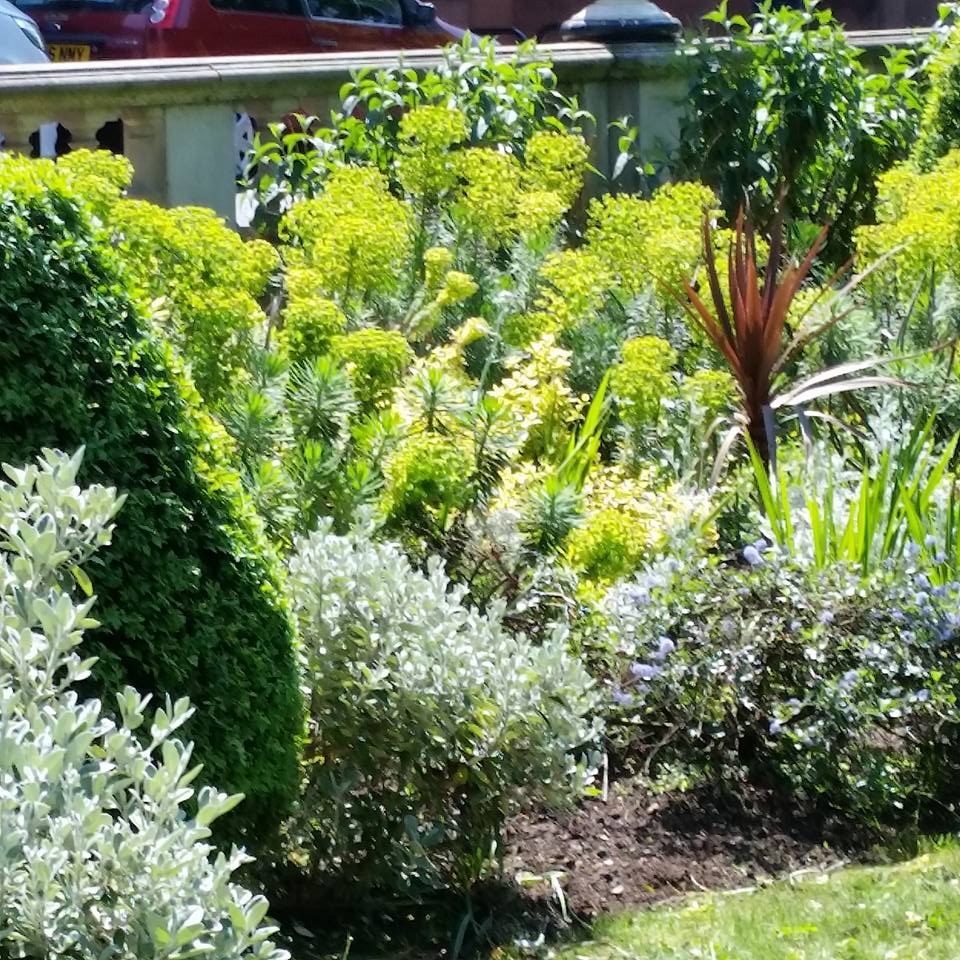 BarfordHouse's tweet image. #LordStInBloom volunteers worked hard today clearing weeds ready for planting next week 🌺 edging the lawn &amp;amp; clipping shrubs
Thanks to @SouthportBID we have been able to purchase #BoxBalls #Perrenials &amp;amp; Summer #beddingplants lots of photo's to follow
#MySefton @RHSBloom