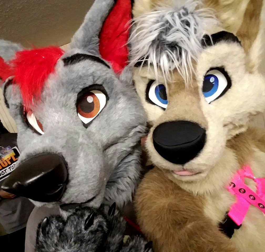 ashene64's tweet photo. Happy #WaffWednesday~ Go find a waff and hug them! 
🐺@ZikaWolfy https://t.co/HQaaXGiFYy