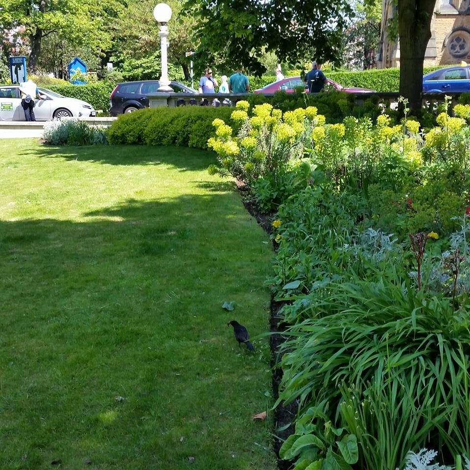 BarfordHouse's tweet image. #LordStInBloom volunteers worked hard today clearing weeds ready for planting next week 🌺 edging the lawn &amp;amp; clipping shrubs
Thanks to @SouthportBID we have been able to purchase #BoxBalls #Perrenials &amp;amp; Summer #beddingplants lots of photo's to follow
#MySefton @RHSBloom