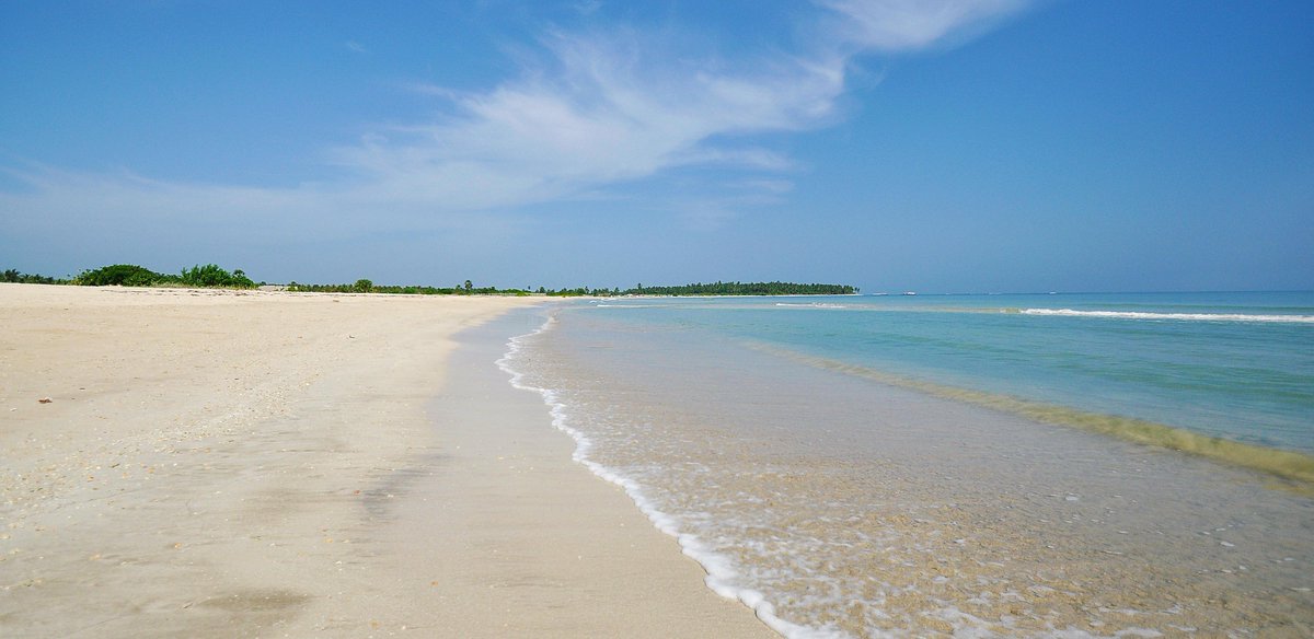TravelMaxScott's tweet photo. Looking for an amazing #familyholiday this summer? With #whalewatching, gently sloping beaches, fabulous beach-side resorts and spotting wild elephants, the east coast of #SriLanka is the perfect #family adventure. #familytravel https://t.co/zqpmwJZFrg https://t.co/h8WRIFgylF