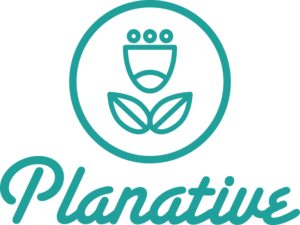 Twitergratis's tweet photo. MUESTRAS PRODUCTOS NATURALES
Planative, expertos en la selección de ingredientes naturales para shampoos y aceites esenciales, te envia #muestras #gratis de sus exclusivos productos.
https://t.co/APg54GwRUA https://t.co/09wltZoKCa