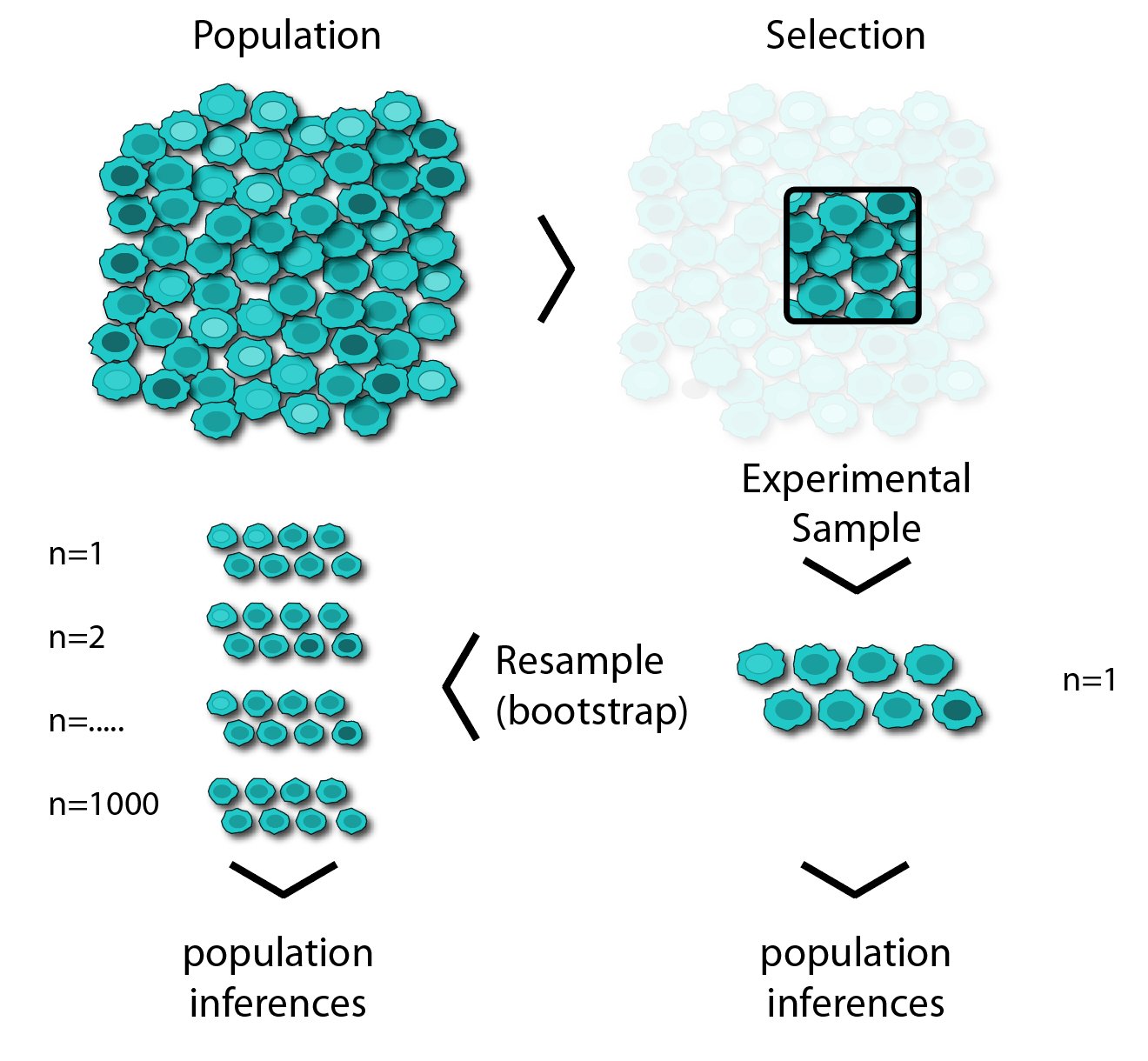 Statistical Sampling Cartoon Stat230 Comics – MathSoc