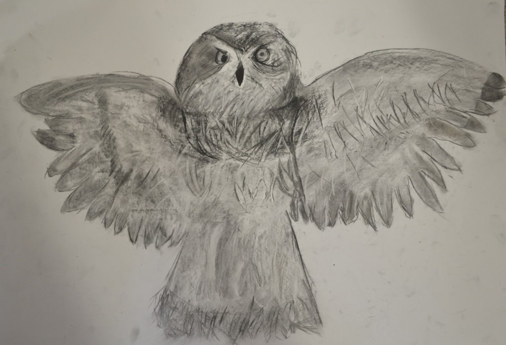 ParagonBath's tweet photo. Animal drawings by Year 5. #ParagonArt https://t.co/DzPofzbF7s