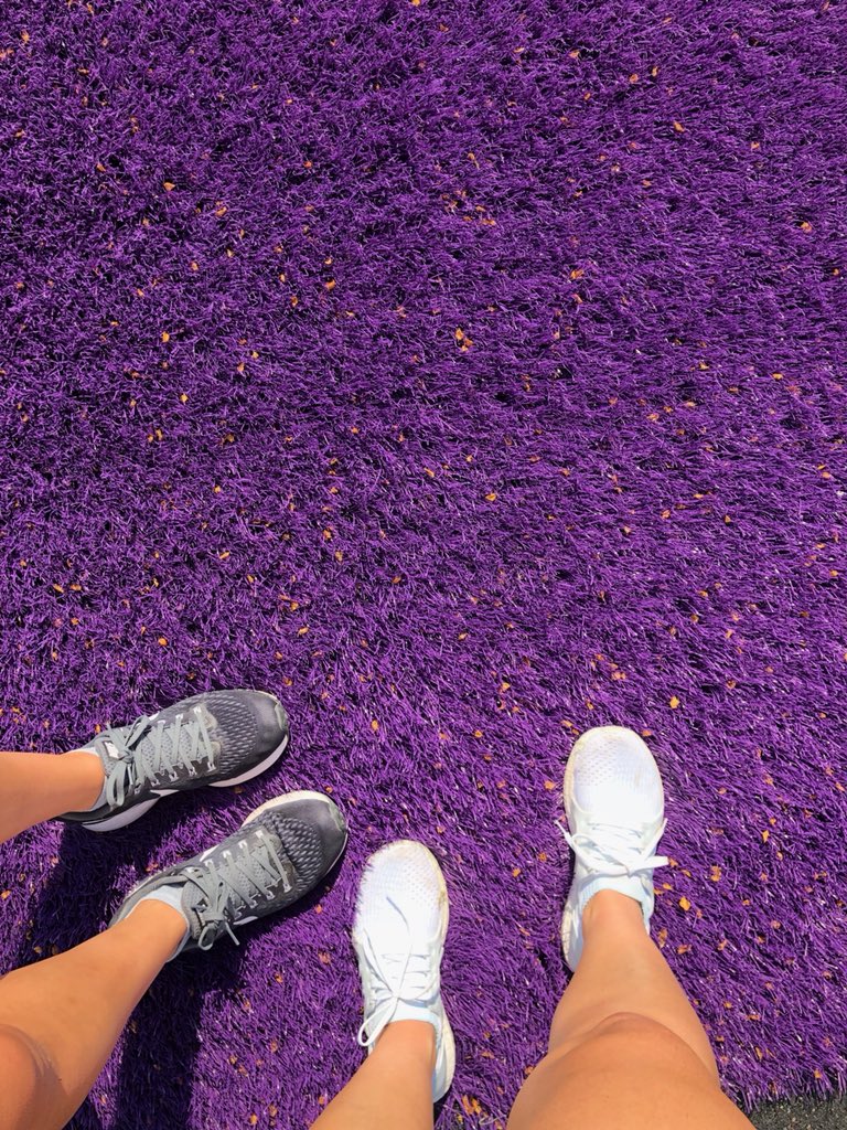 NiagaraWLAX's tweet photo. Spotted: #montyinthemiddle! That can only mean one thing, the #turfmakeover is nearly complete! Check out all that purple 😈! We are already getting excited thinking about playing on it in the fall #turfupdate #purplepride #powerofniagara https://t.co/dC7UaczGs9