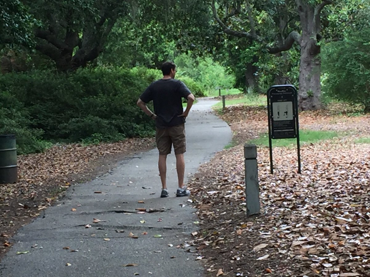 AnneDegnan's tweet photo. Amazing @airbnb in #walkable #Charleston https://t.co/IuPe57dVTq