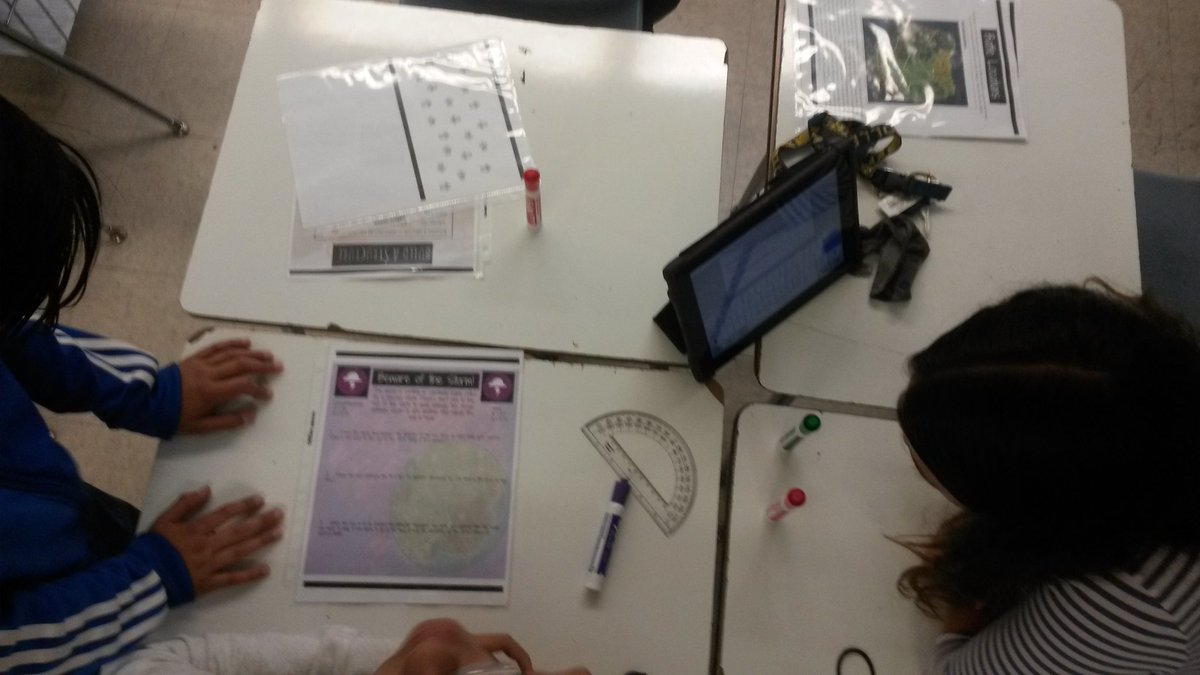 E Williams tweet media