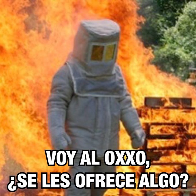 Ver imagen en Twitter