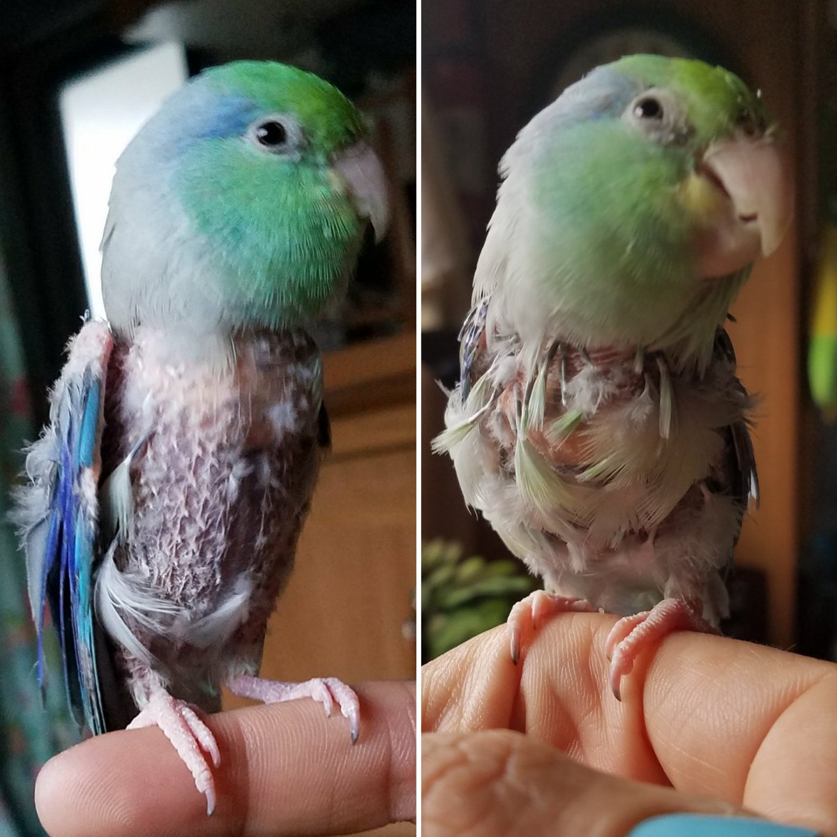 Keep it up, Wiggly Bean!