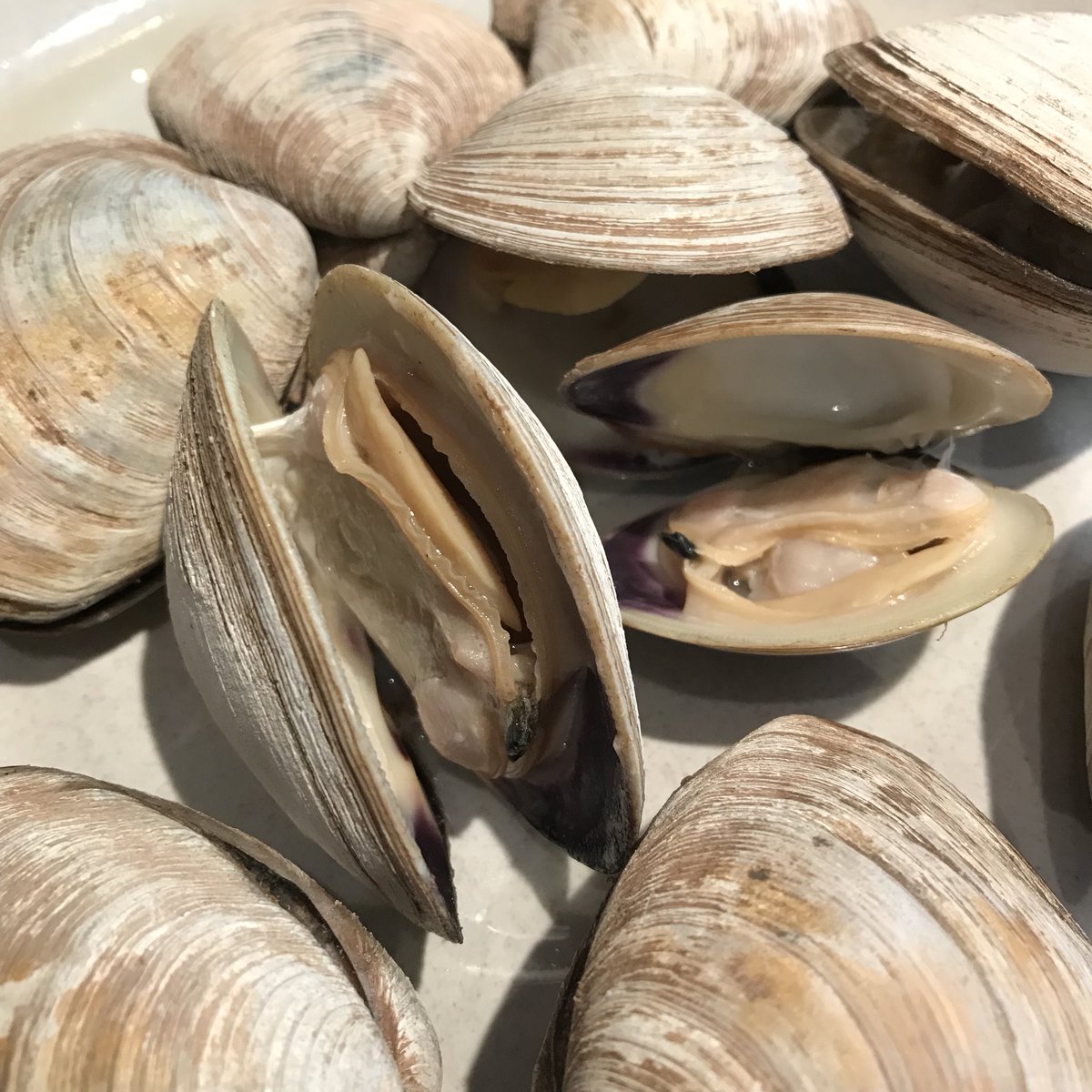 Wild & Live Seafoods tweet media