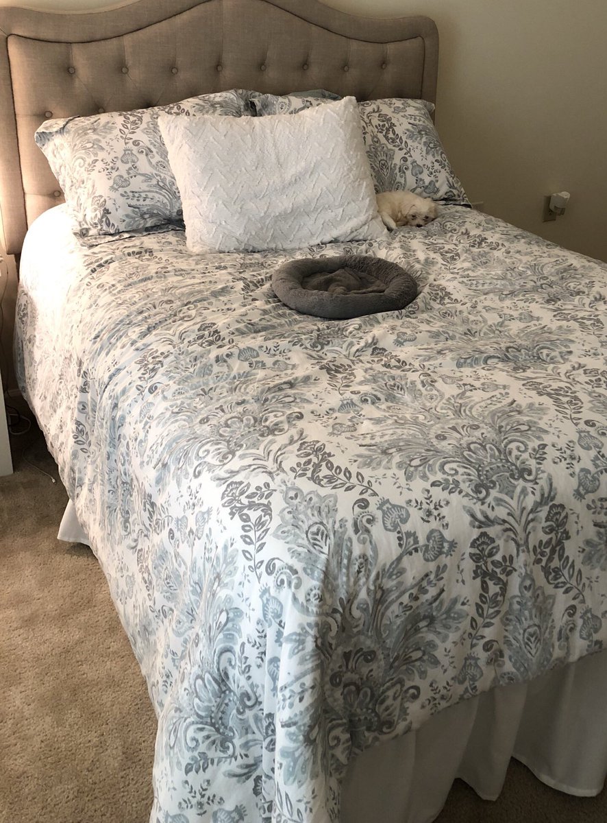 Anna Guglielmi tweet media