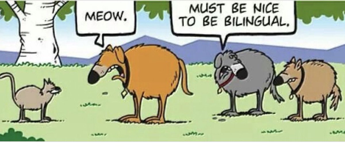 IbsofProvence's tweet photo. Bilingual humour #bilingualism #ibworldschool #ibsofprovence https://t.co/7KMVlzSmdV